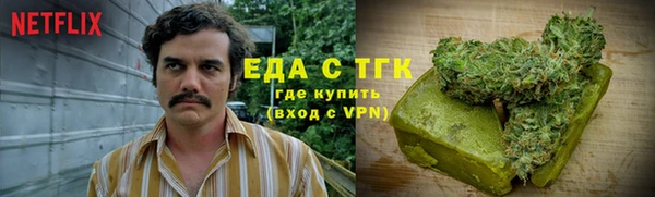 индика Верея