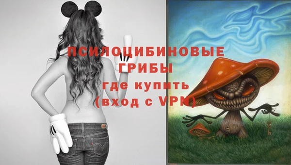 индика Верея