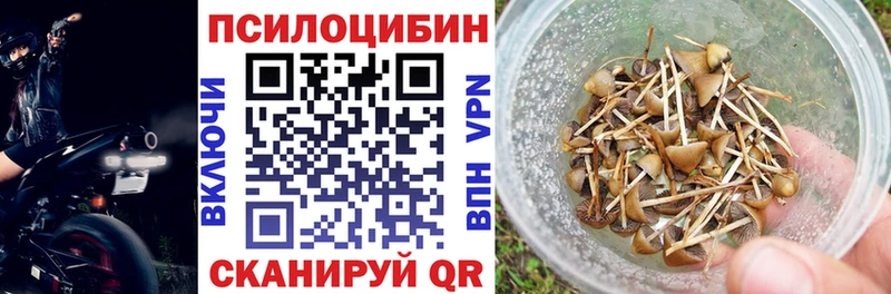 Галлюциногенные грибы прущие грибы блэк спрут ТОР даркнет клад Ирбит